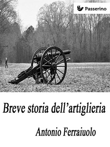 Breve storia dell'artiglieria
